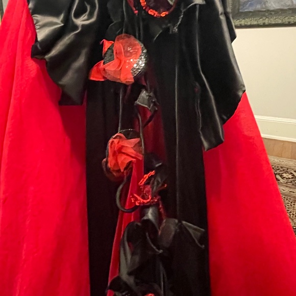 Luxury MICHEL-TELLIN DESIGNER PARIS Gown Worn Once 100%silk Video - Picture 12 of 14